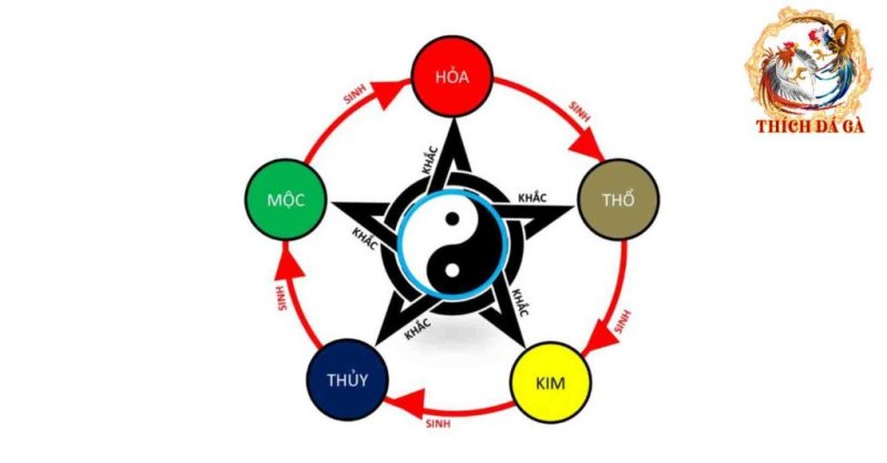 Tìm hiểu về gà bướm đá ngày nào tốt nhất 