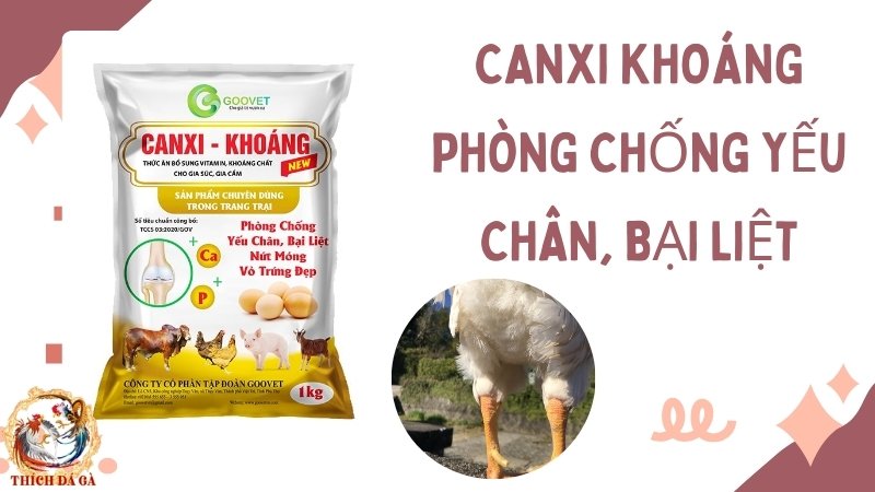 CANXI khoáng phòng chống yếu chân, bại liệt cho gà