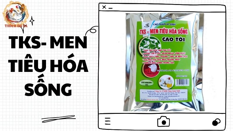 Men tiêu hóa sống TKS