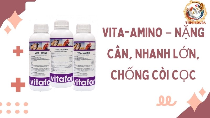 VITA-AMINO