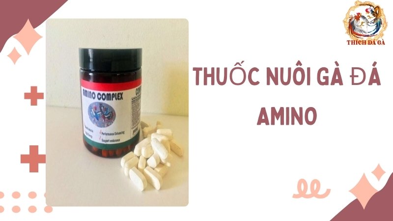 Thuốc nuôi gà đá AMINO