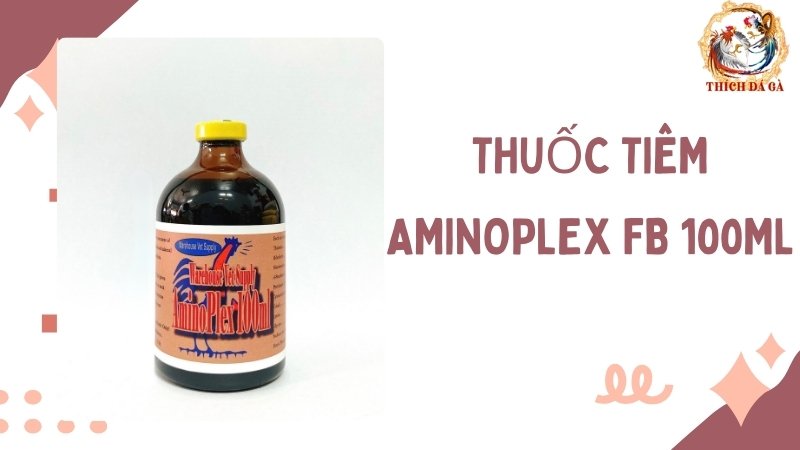 Thuốc tiêm AMINOPLEX FB 100ML