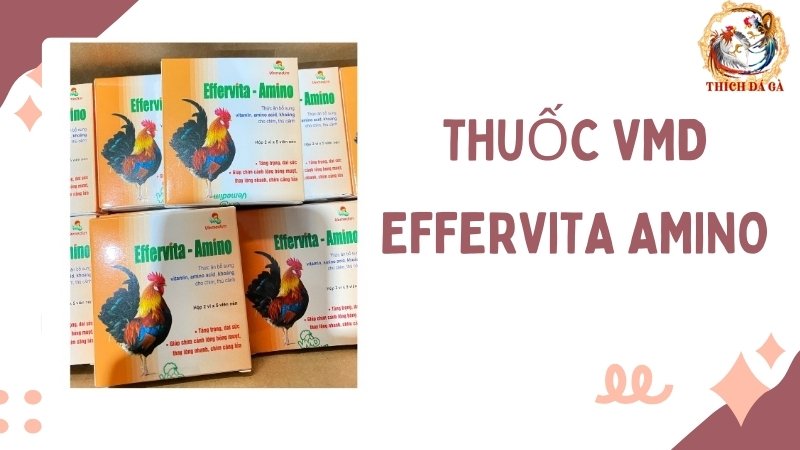 Thuốc VMD Effervita Amino