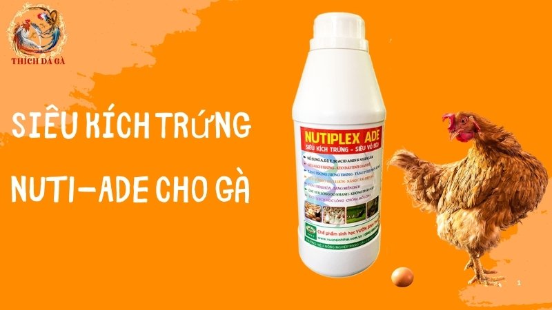 Siêu kích trứng NUTI-ADE cho gà