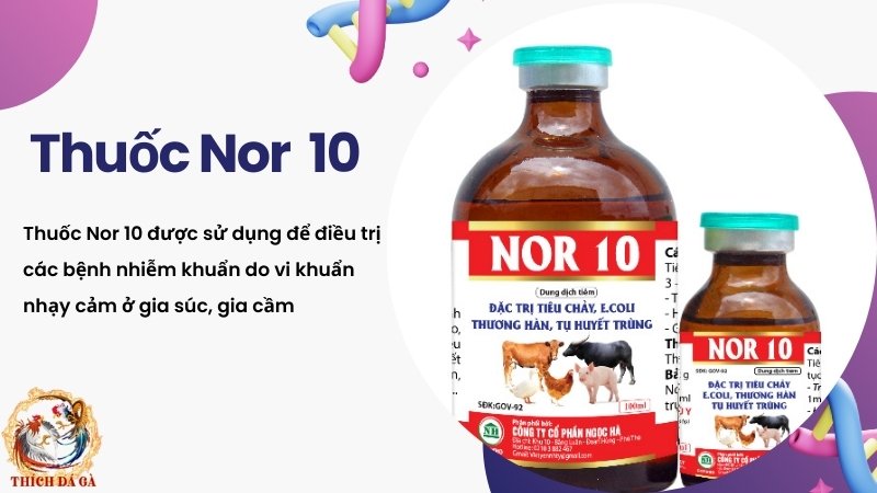 Nor 10 cho gia súc, gia cầm