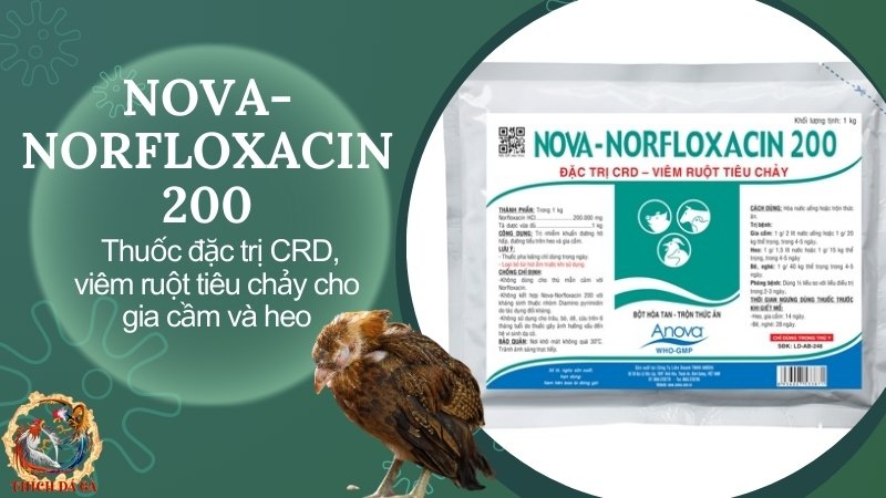 NOVA-NORFLOXACIN 200 - Thuốc đặc trị CRD, viêm ruột tiêu chảy