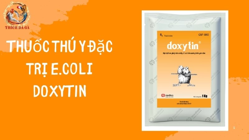 Thuốc đặc trị E. coli DOXYTIN