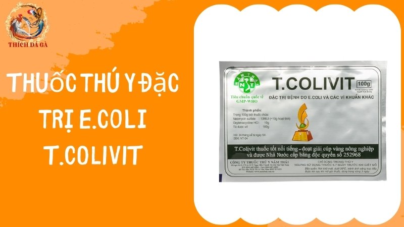 Thuốc đặc trị E. coli T.COLIVIT