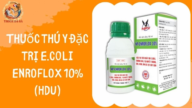 Thuốc đặc trị E. coli ENROFLOX 10% (HDU)