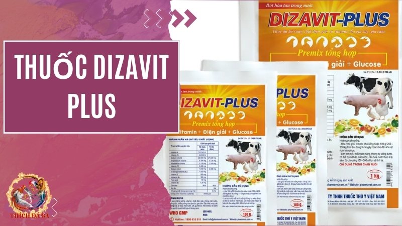 Dizavit-plus