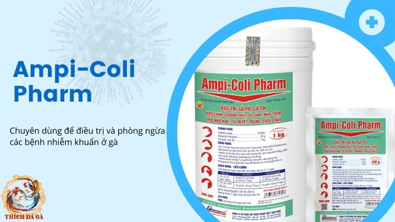 Thuốc điều trị các bệnh về đường hô hấp Ampi-Coli Pharm