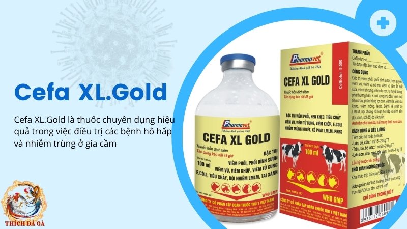 Thuốc điều trị hen khẹc, viêm phổi Cefa XL.Gold