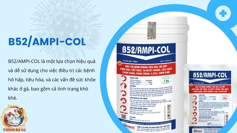 Thuốc điều trị các bệnh liên quan đến đường hô hấp B52/AMPI-COL