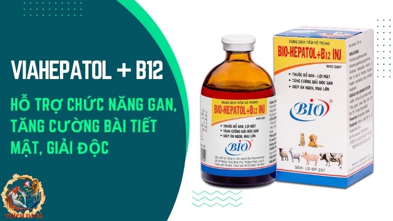 Viahepatol + B12