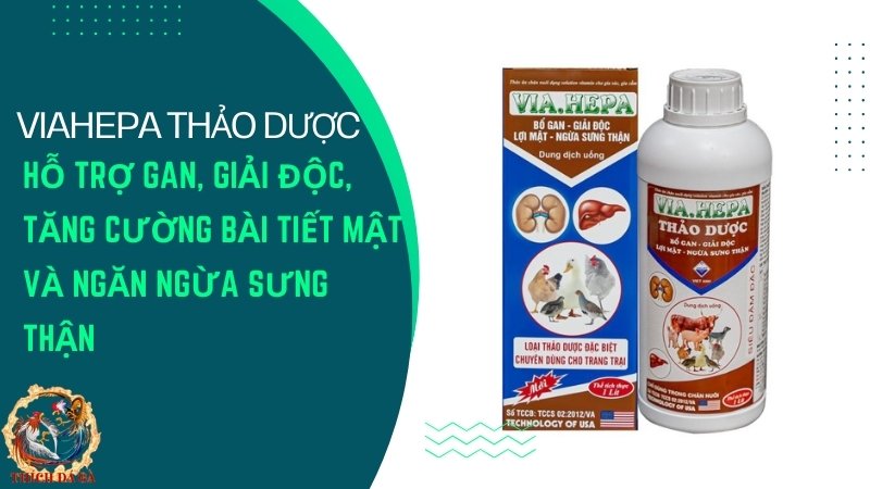 VIAHEPA thảo dược