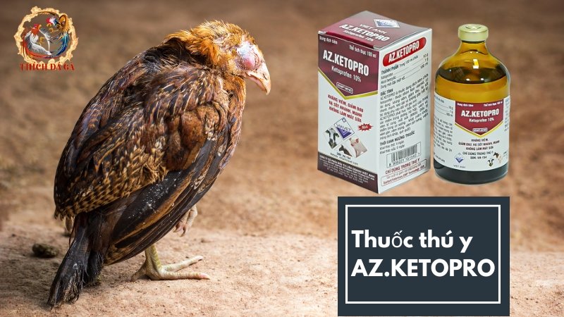 Thuốc thú y AZ.KETOPRO