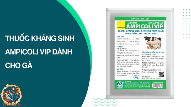 Thuốc Ampicoli VIP