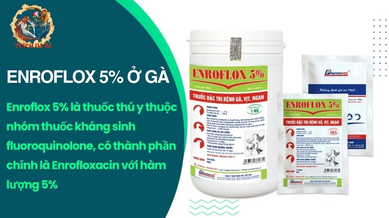 Thuốc Enroflox 5%