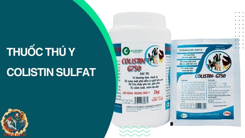 Thuốc Colistin Sulfat