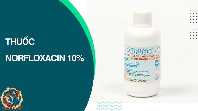 Thuốc Norfloxacin 10%