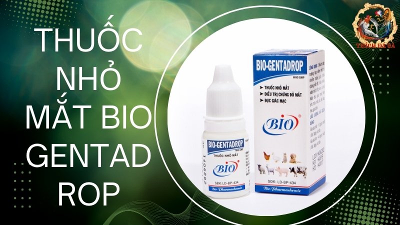 Thuốc nhỏ mắt Bio Gentadrop