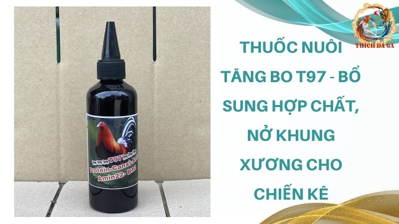 Thuốc nuôi tăng bo T97