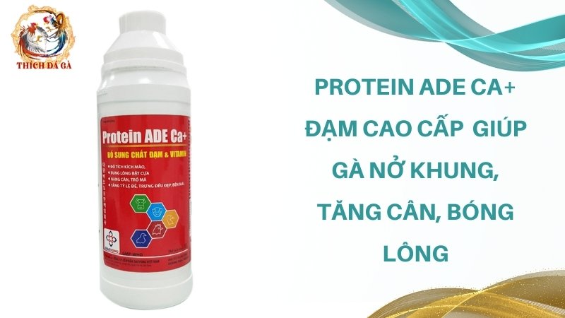 Protein ADE Ca+ đạm cao cấp