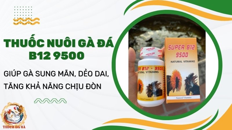 Thuốc nuôi gà đá B12