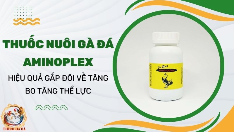 Thuốc nuôi gà đá AMINOPLEX