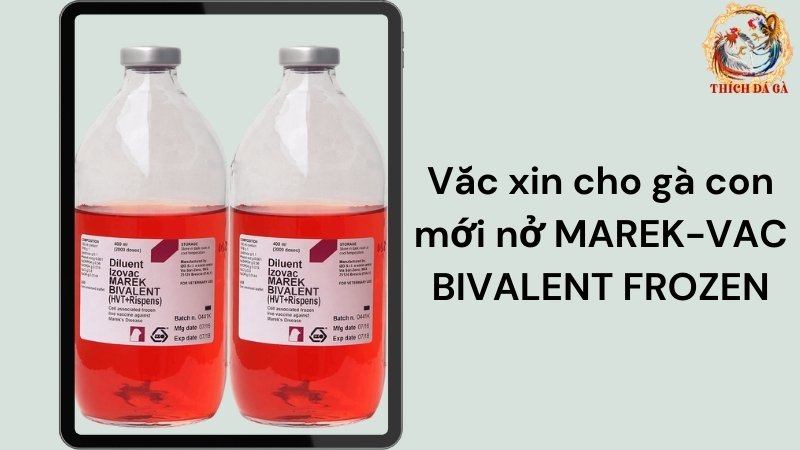 Vắc xin cho gà con mới nở MAREK-VAC BIVALENT FROZEN