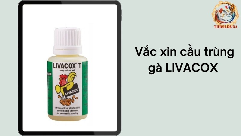 Vắc xin cầu trùng gà LIVACOX