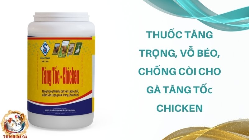 Thuốc tăng trọng, vỗ béo, chống còi cho gà Tăng Tốc Chicken