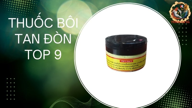 Thuốc bôi tan đòn Top 9