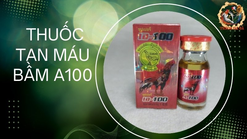 Thuốc tan máu bầm A100