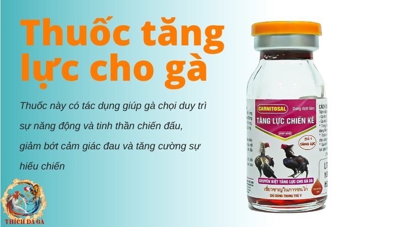 Thuốc tăng lực cho gà chọi