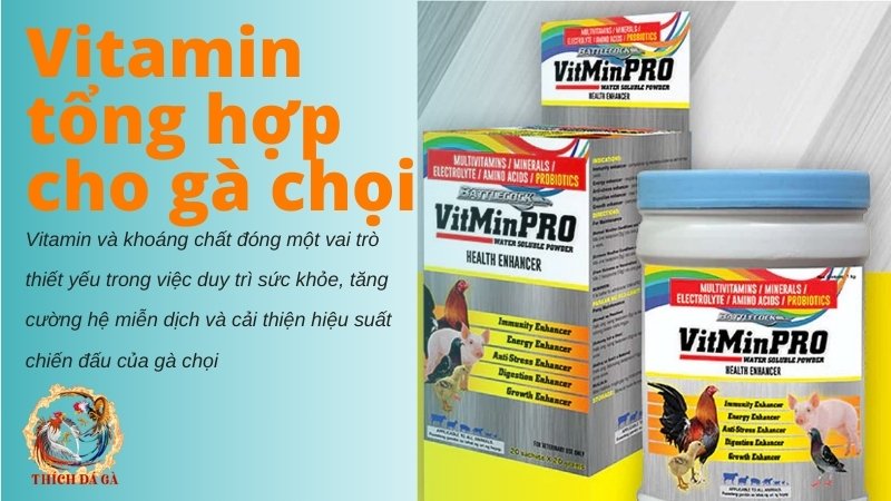 Vitamin tổng hợp cho gà chọi