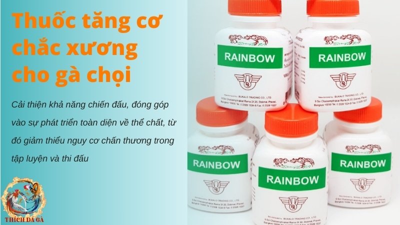 Thuốc chắc xương và tăng cơ cho gà chọi