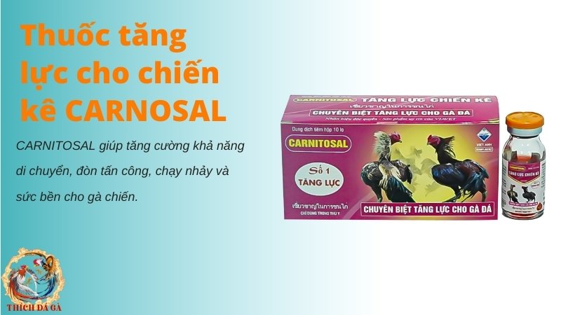 Thuốc tăng lực cho chiến kê Carnosal