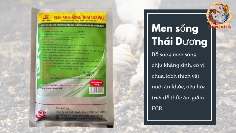 Men sống Thái Dương