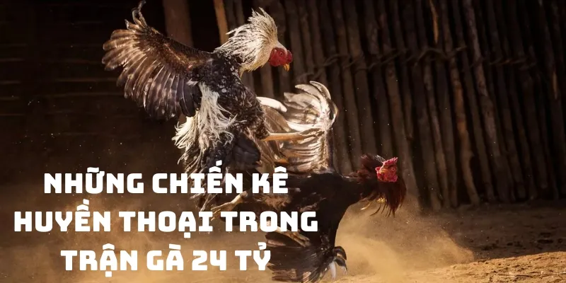 Những chiến kê huyền thoại trong trận gà 24 tỷ