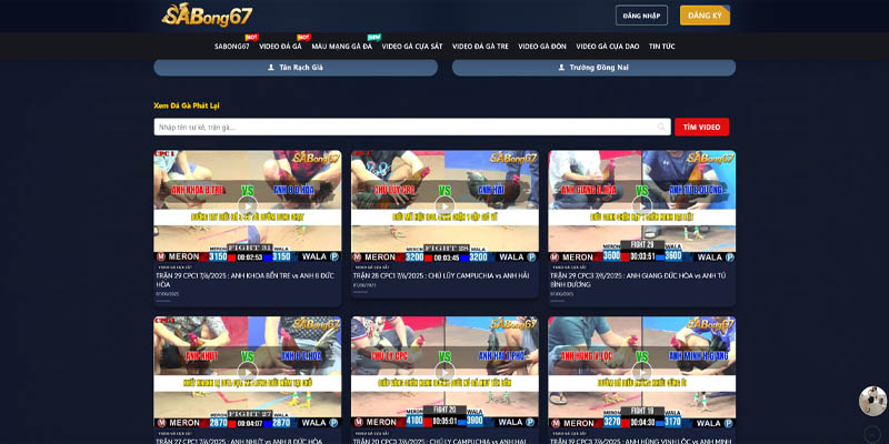 Sabong67 Hôm Nay - Cập Nhật Trực Tiếp Đá Gà Thomo Full HD 2 Cập nhật lịch đá gà Sabong67 hôm nay