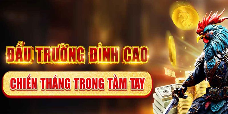 GA6789 – Trực Tiếp Đá Gà Chất Lượng, Cược Là Trúng 1 Tại sao người chơi tin tưởng lựa chọn GA6789?