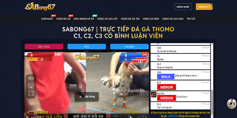Sabong67 Hôm Nay - Cập Nhật Trực Tiếp Đá Gà Thomo Full HD 1 Theo dõi lịch Sabong67 hôm nay để không bỏ lỡ những trận đấu hấp dẫn nhất