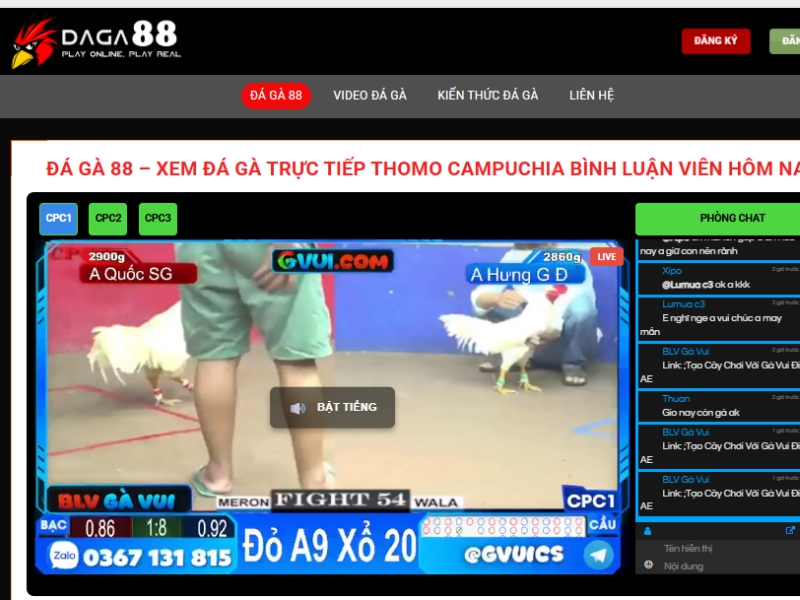 Đá Gà 88 – Nền Tảng Phát Sóng Đá Gà Online Hàng Đầu Hiện Nay 1 Tìm hiểu về nền tảng đá gà trực tiếp tại Đá Gà 88