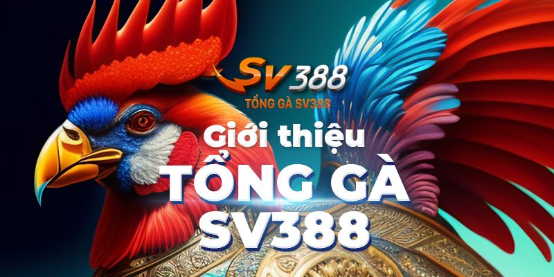 SV388 - Địa Chỉ Uy Tín Hàng Đầu Cho Các Cược Thủ 1 Tìm hiểu về tổng gà SV388