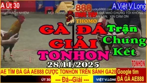 Thích Đá Gà - giai 1