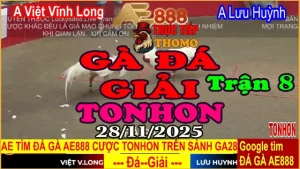 Thích Đá Gà - giai 3